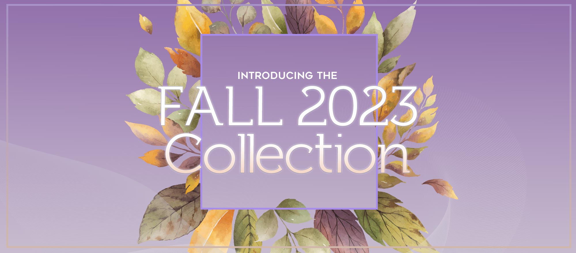 Fall 2023 Collection Collection for New